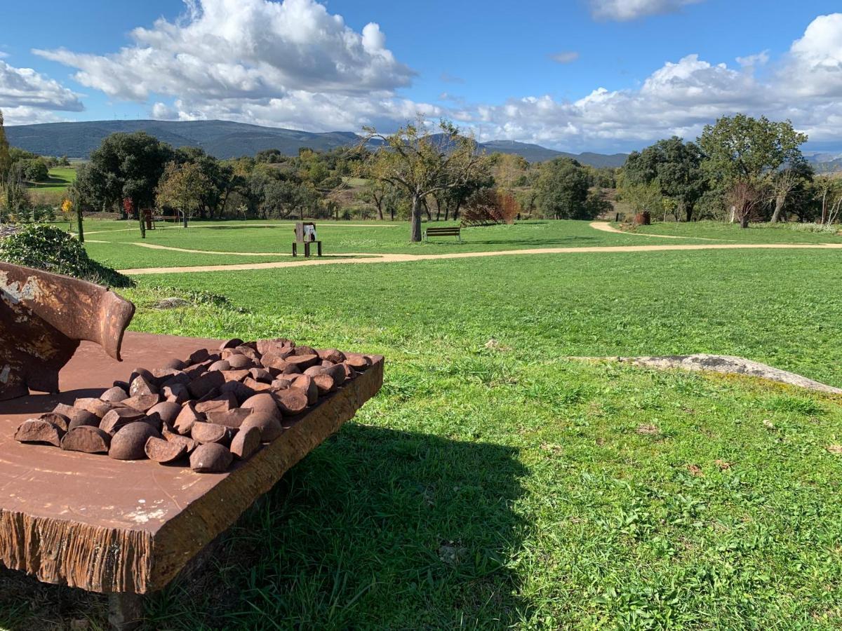 Casa Rural De Un Artista En Plena Naturaleza Piscina Y Parque De Esculturas En Villarcayo Villarcayo de Merindad de Castilla la Vieja Exterior foto